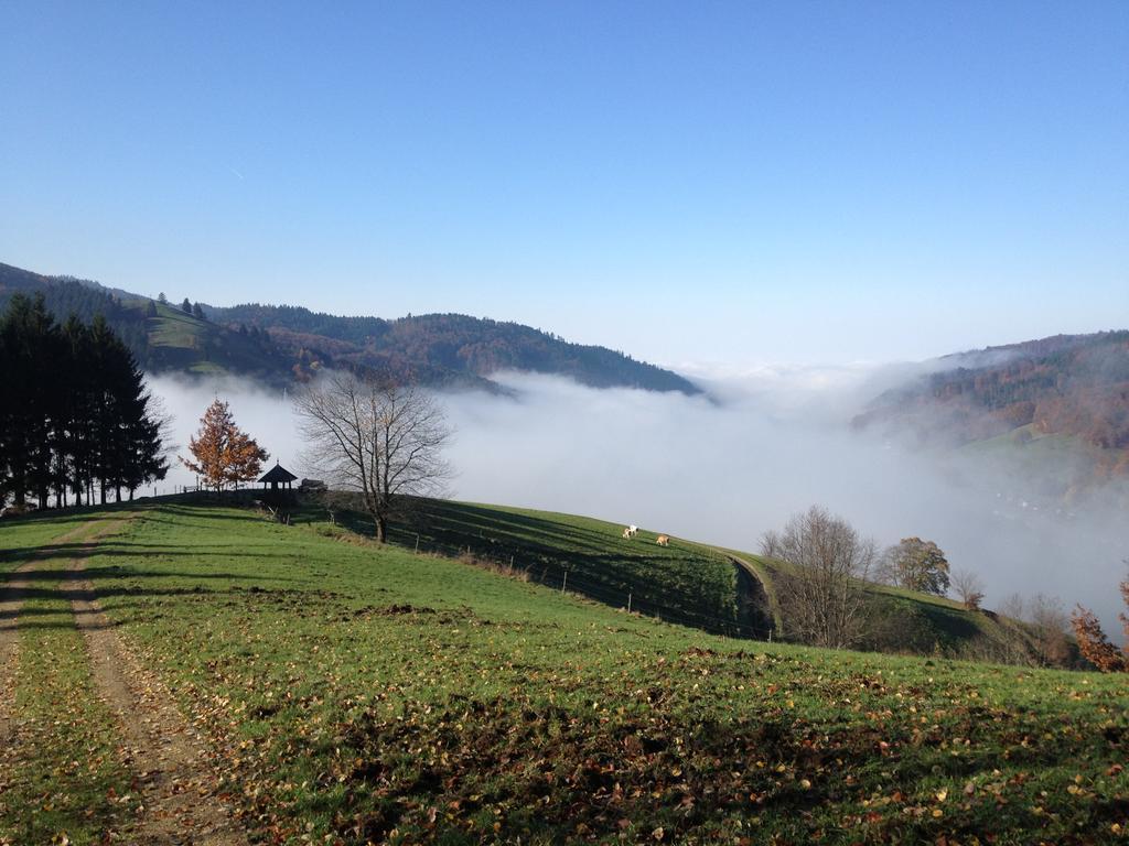 Gasthaus Zum Hirschen Staufen im Breisgau Exteriér fotografie