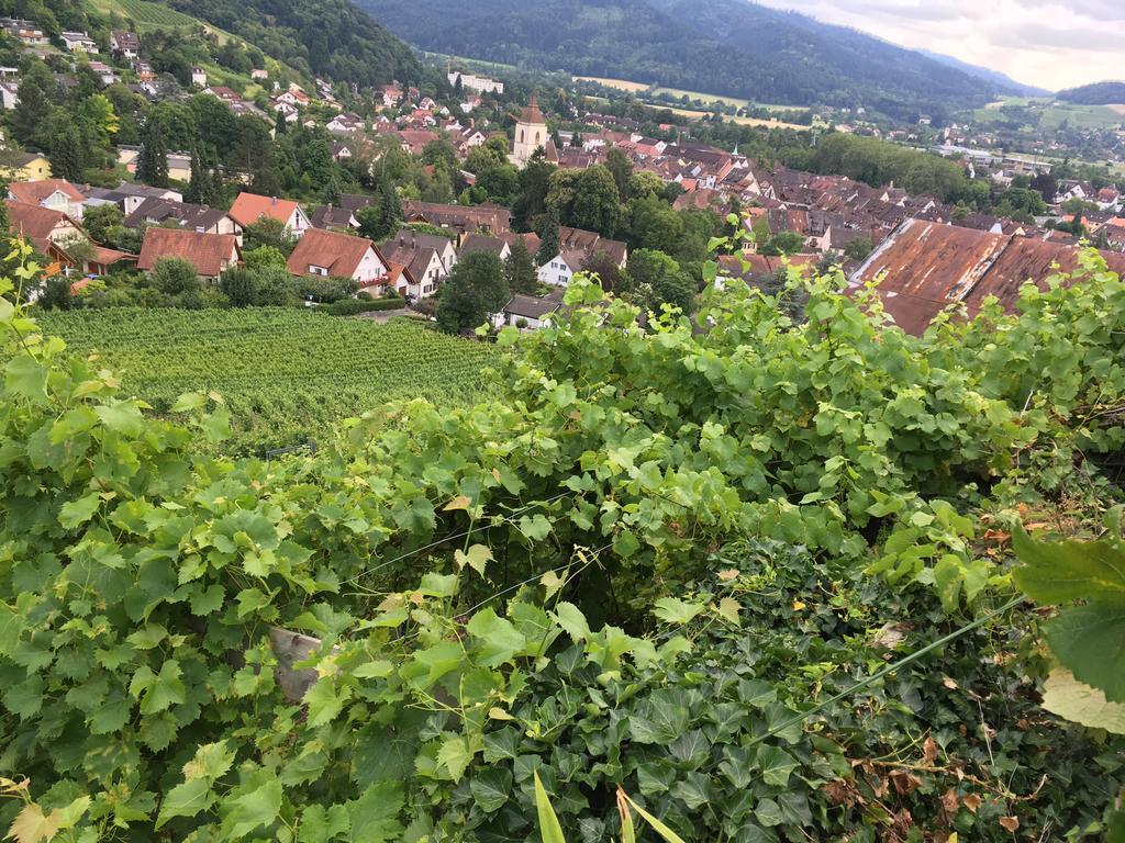 Gasthaus Zum Hirschen Staufen im Breisgau Exteriér fotografie